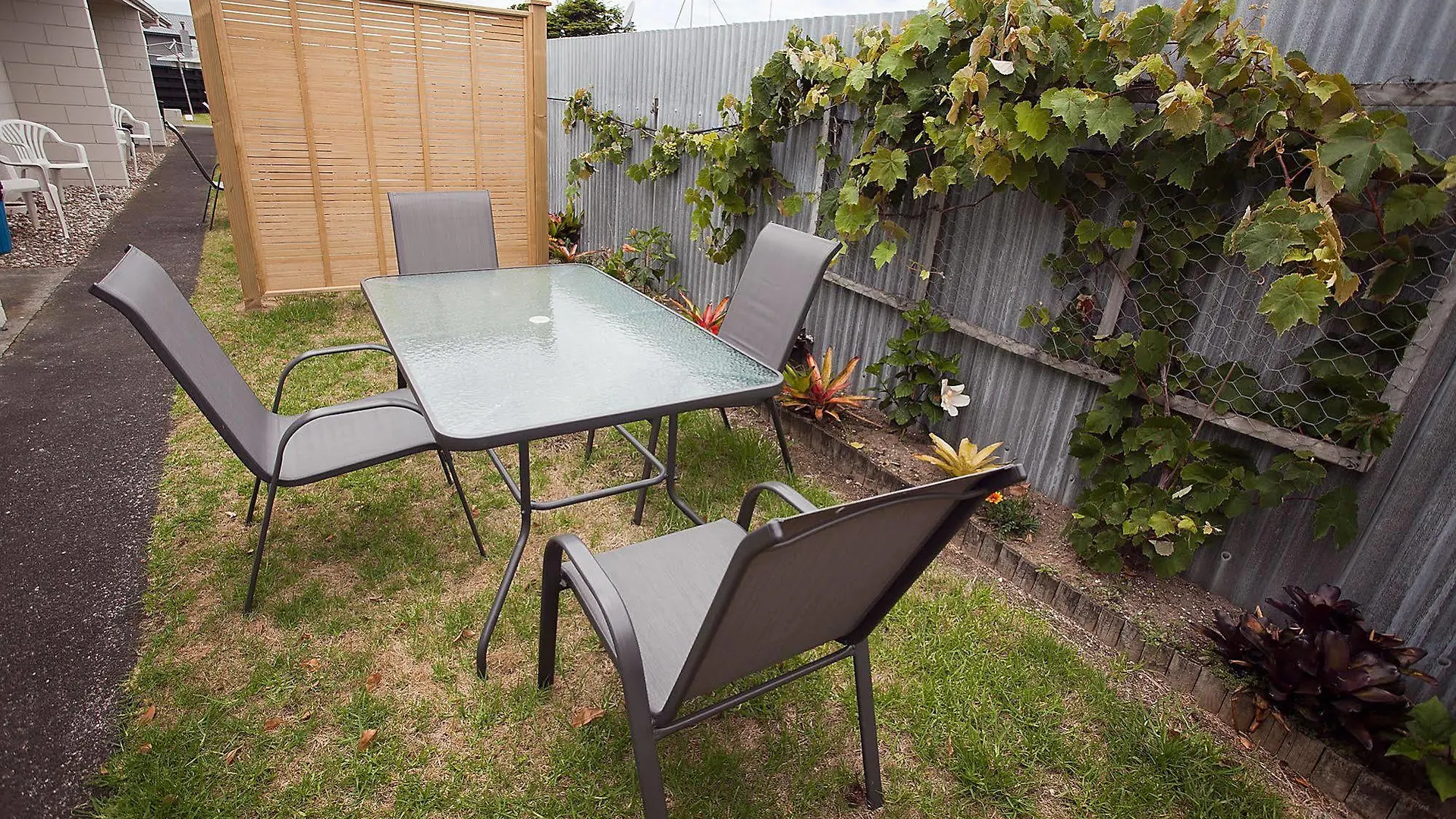 Blue Haven Motel Mount Maunganui New Zealand